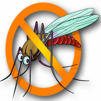 Non-Toxic Insect Control